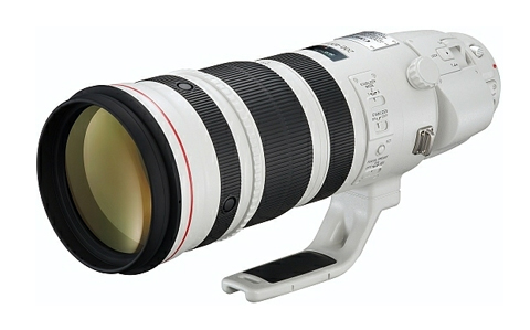 Canon EF 200-400mm f/4L IS USM.