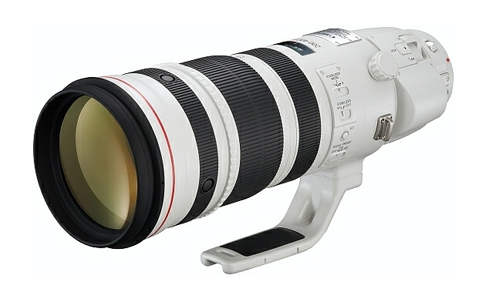 Canon EF 200-400mm f/4L IS USM.