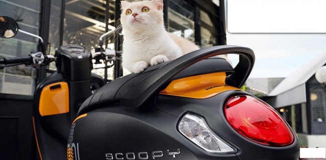 Tin xe hot 13/12: Đối thủ mới của Hyundai Grand i10, Kia Morning g&acirc;y sốt với gi&aacute; chỉ 151 triệu đồng ảnh 4