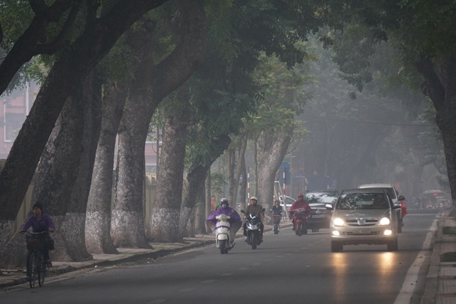 Dự báo thời tiết Hà Nội ngày 26/3: Mưa và sương mù bao phủ Thủ đô ảnh 2