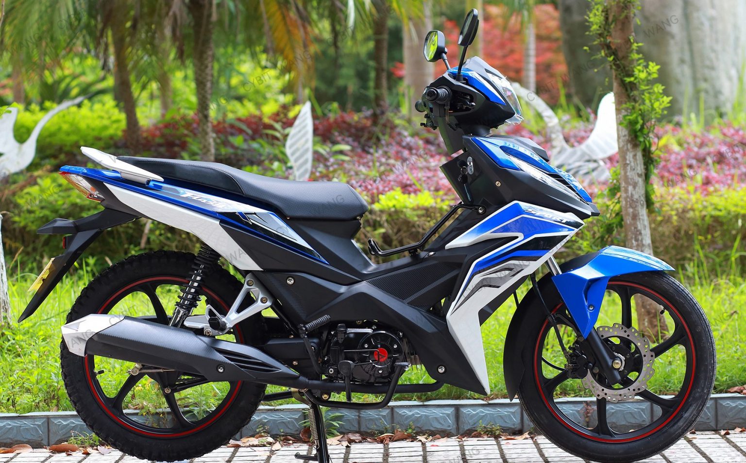 Mẫu xe c&ocirc;n tay gi&aacute; rẻ 'h&uacute;t mắt' với thiết kế đẹp như Honda Winner 150, gi&aacute; b&aacute;n g&acirc;y bất ngờ