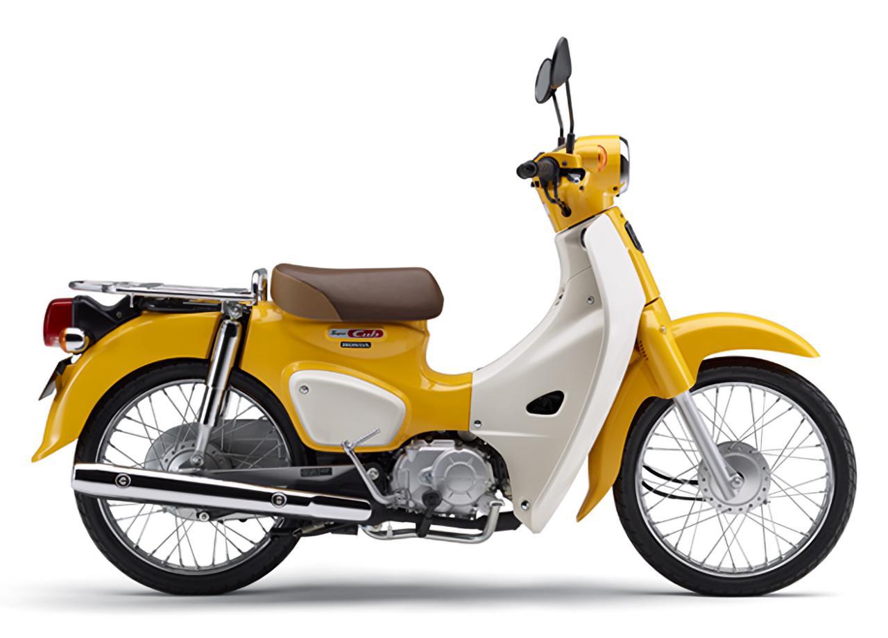 'Tiểu Honda Super Cub C125' ra mắt với diện mạo đẹp mê mẩn, giá bán khiến Wave Alpha 'choáng ngợp'