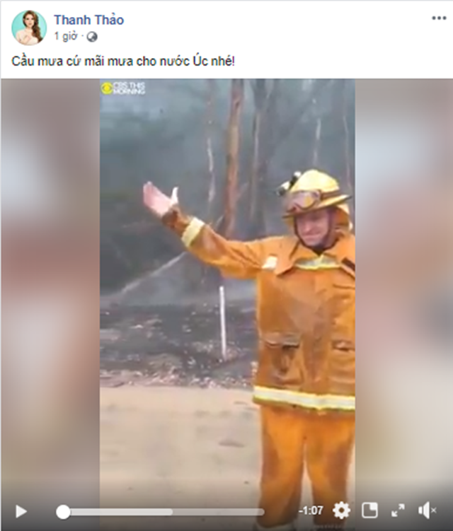 mc phan anh, cháy rừng úc, cháy rừng australia, cháy rừng ở úc