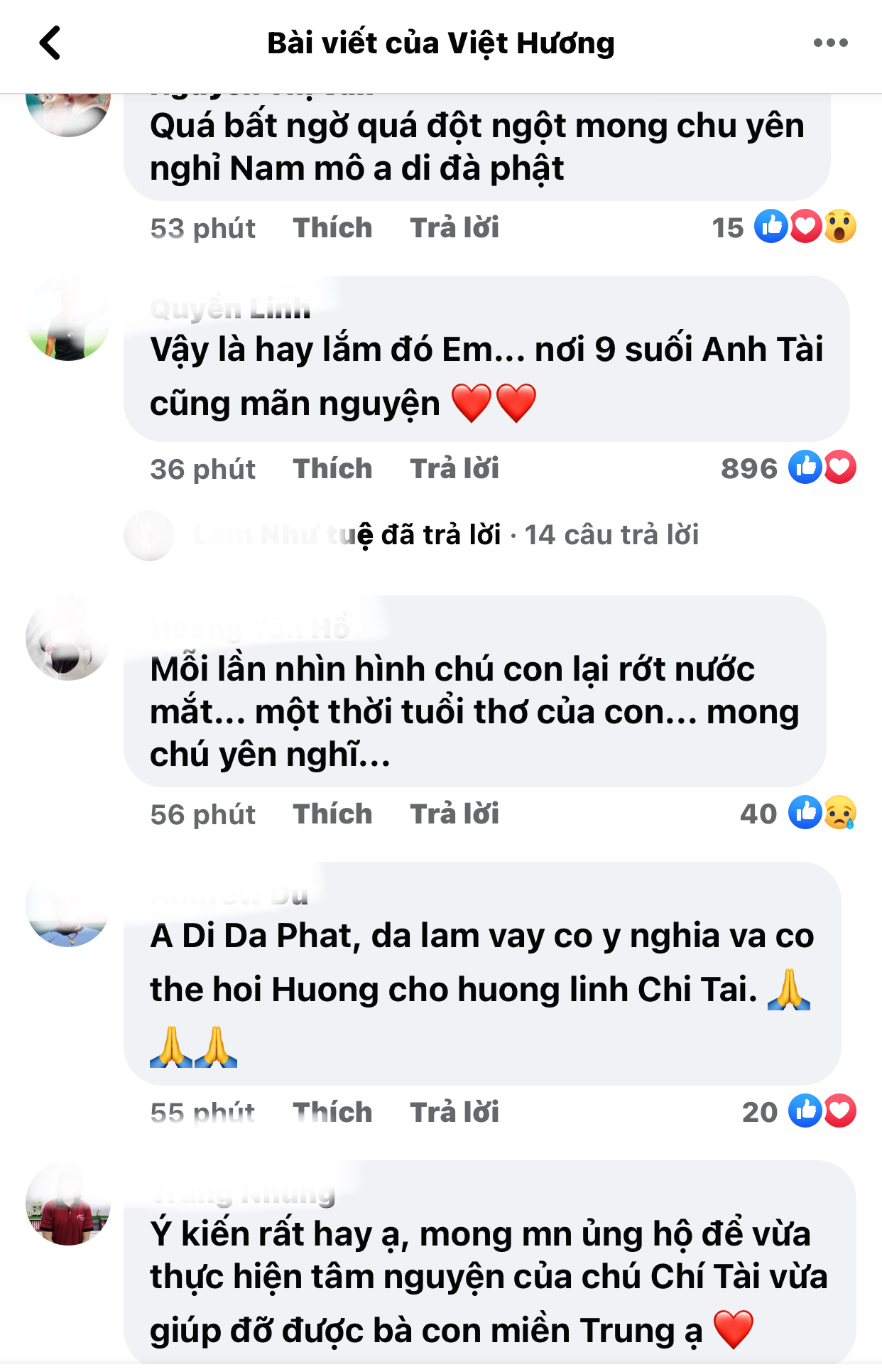 Viet-huong-chi-tai-3