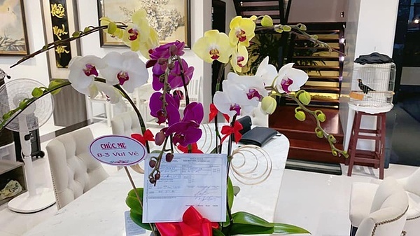 Diễn viên Quốc Trường phim 'Về nhà đi con' tặng mẹ 3 tỷ đồng nhân dịp 8/3