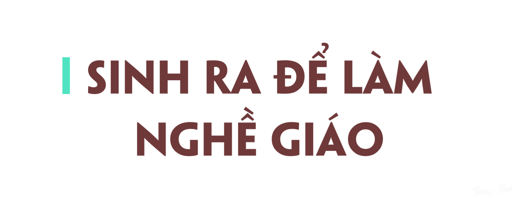 Me-gia-gan-3-thap-ky-cuu-chu-cho-nhung-manh-doi-bat-hanh