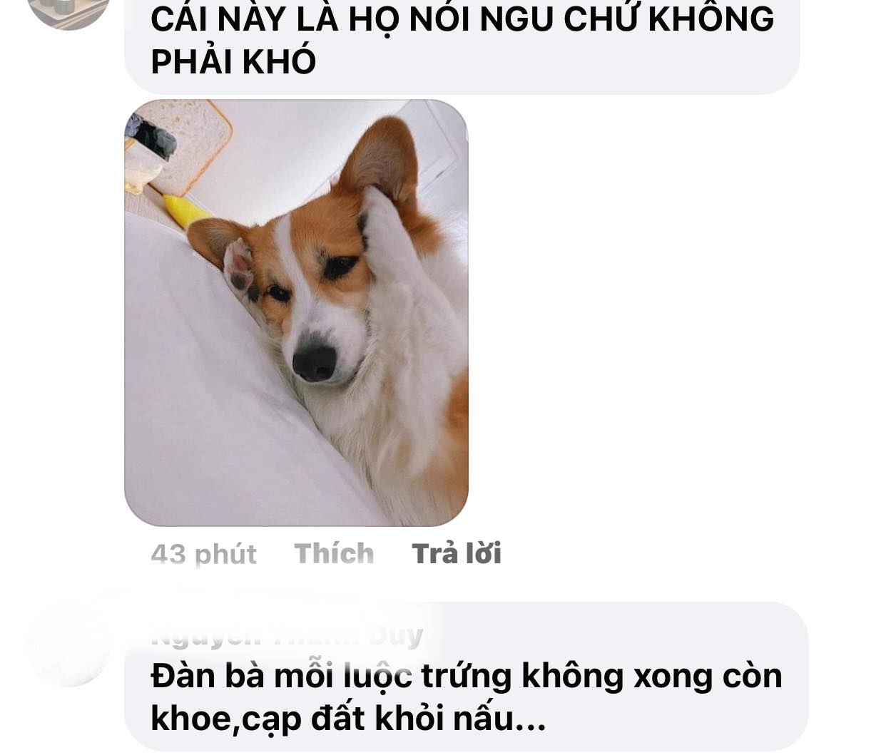 Cdm-chi-trich-gay-gat-tham-chi-noi-hari-won-bat-tai-vo-tich-su-khi-khong-the-lam-duoc-dieu-nay-7 (1)