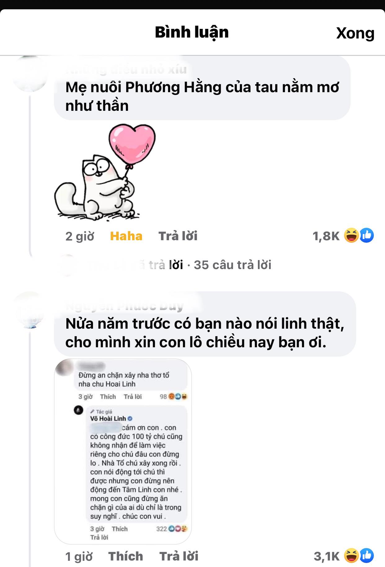 Cu-dan-mang-lien-tuc-chi-trich-mia-mai-sau-khi-nsut-hoai-linh-len-tieng-tran-tinh-ve-loat-on-ao-2