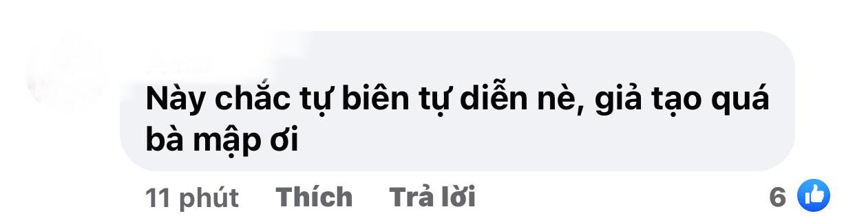 Giua-on-ao-sao-ke-hong-van-chia-se-ve-chien-dich-gay-quy-o-sai-gon-vap-phai-loat-chi-troch-gay-gat-5