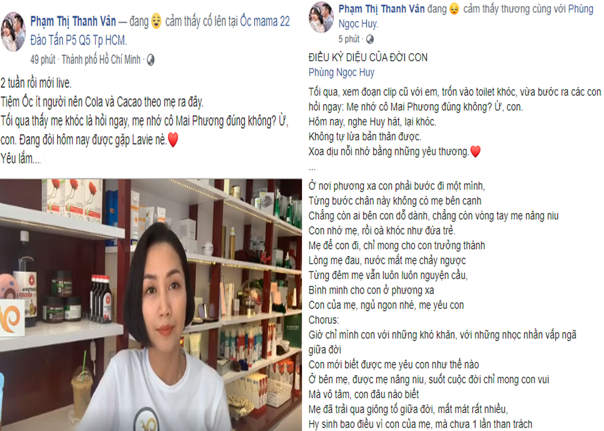 Bài đăng của Ốc Thanh Vân trên facebook cá nhân