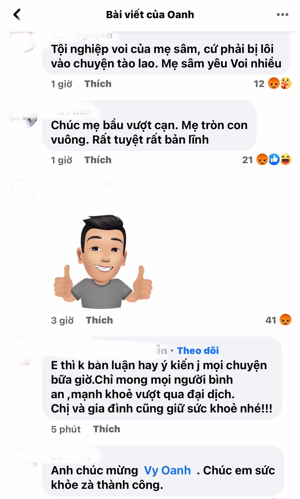 Vy-anh-thong-bao-nhan-loi-xin-loi-cham-dut-moi-on-ao-voi-ba-nguyen-phuong-hang-gay-xon-xao-cdm-5