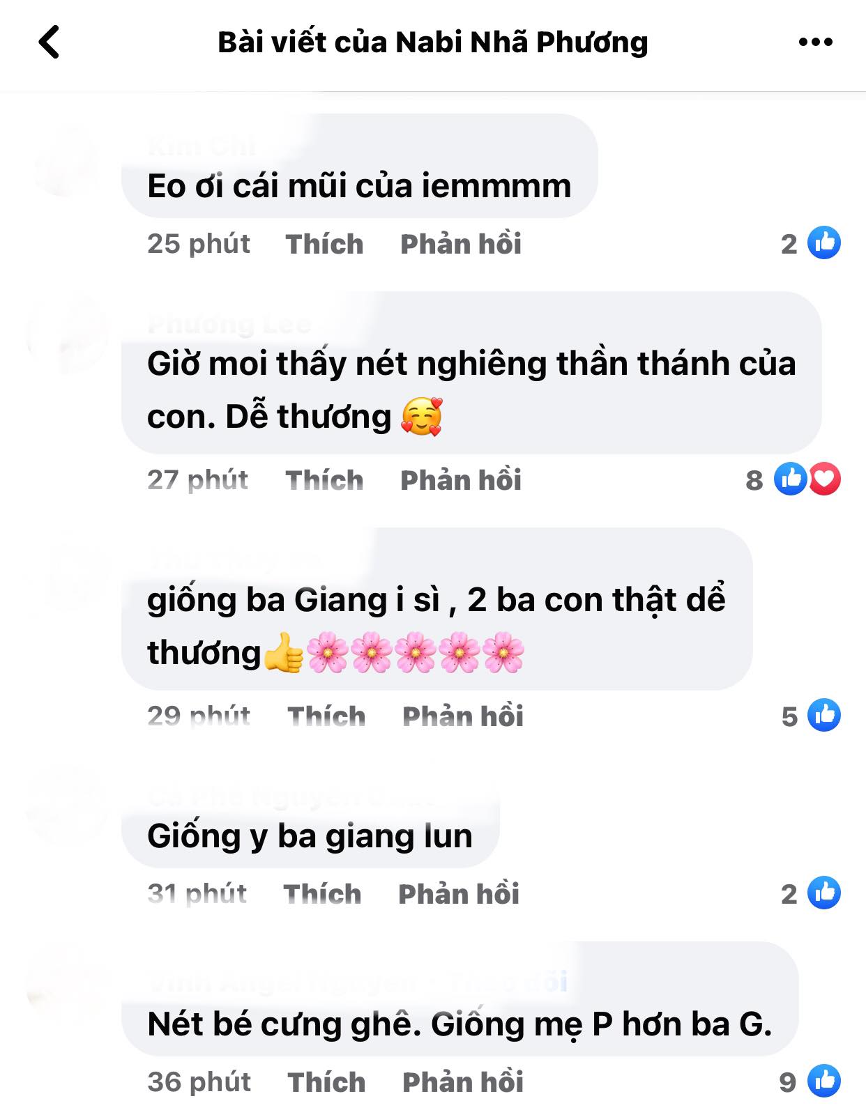 Nha-phuong-khoe-canh-can-mat-destiny-khoc-rong-ke-ve-dieu-thay-doi-ro-ret-o-truong-giang-sau-khi-co-con