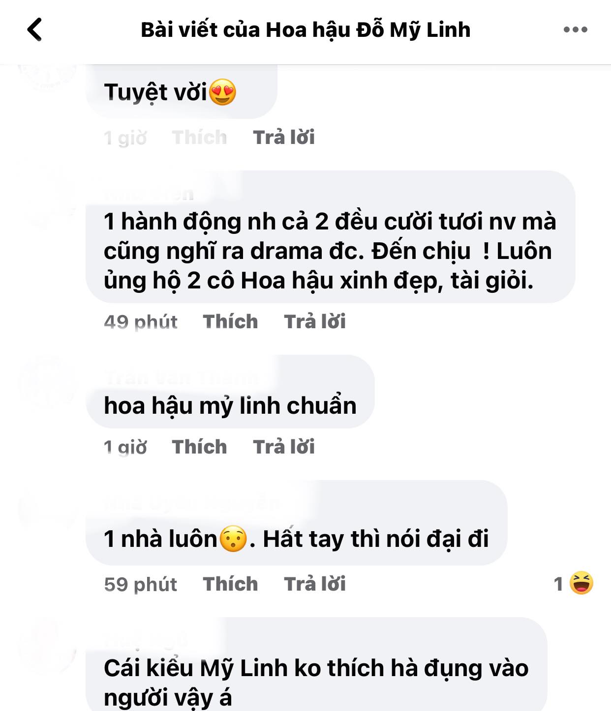 Do-my-linh-len-tieng-phan-tran-ve-viec-bat-nat-do-thi-ha-dan-mang-lac-dau-phan-doi-4