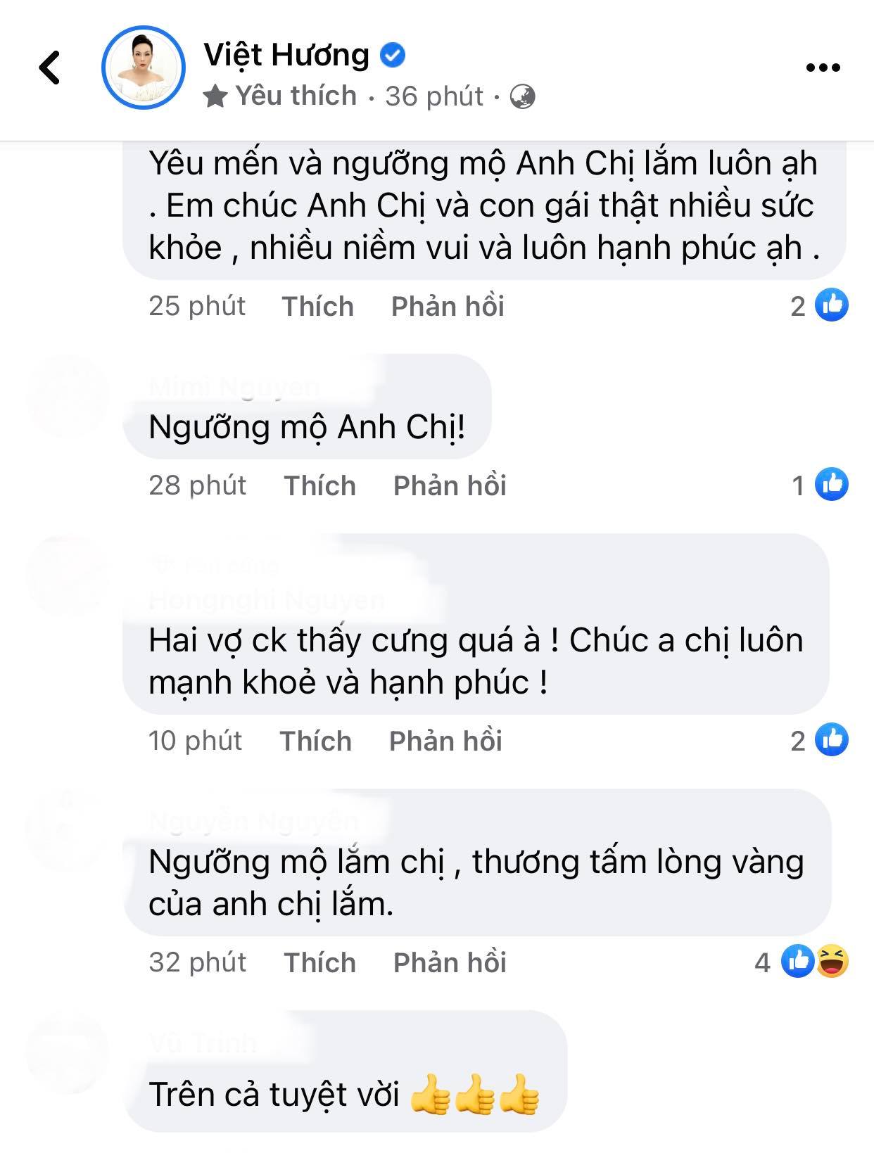 He-lo-tinh-trang-moi-quan-he-o-hien-tai-cua-viet-huong-hoai-phuong-sau-10-nam-ket-hon