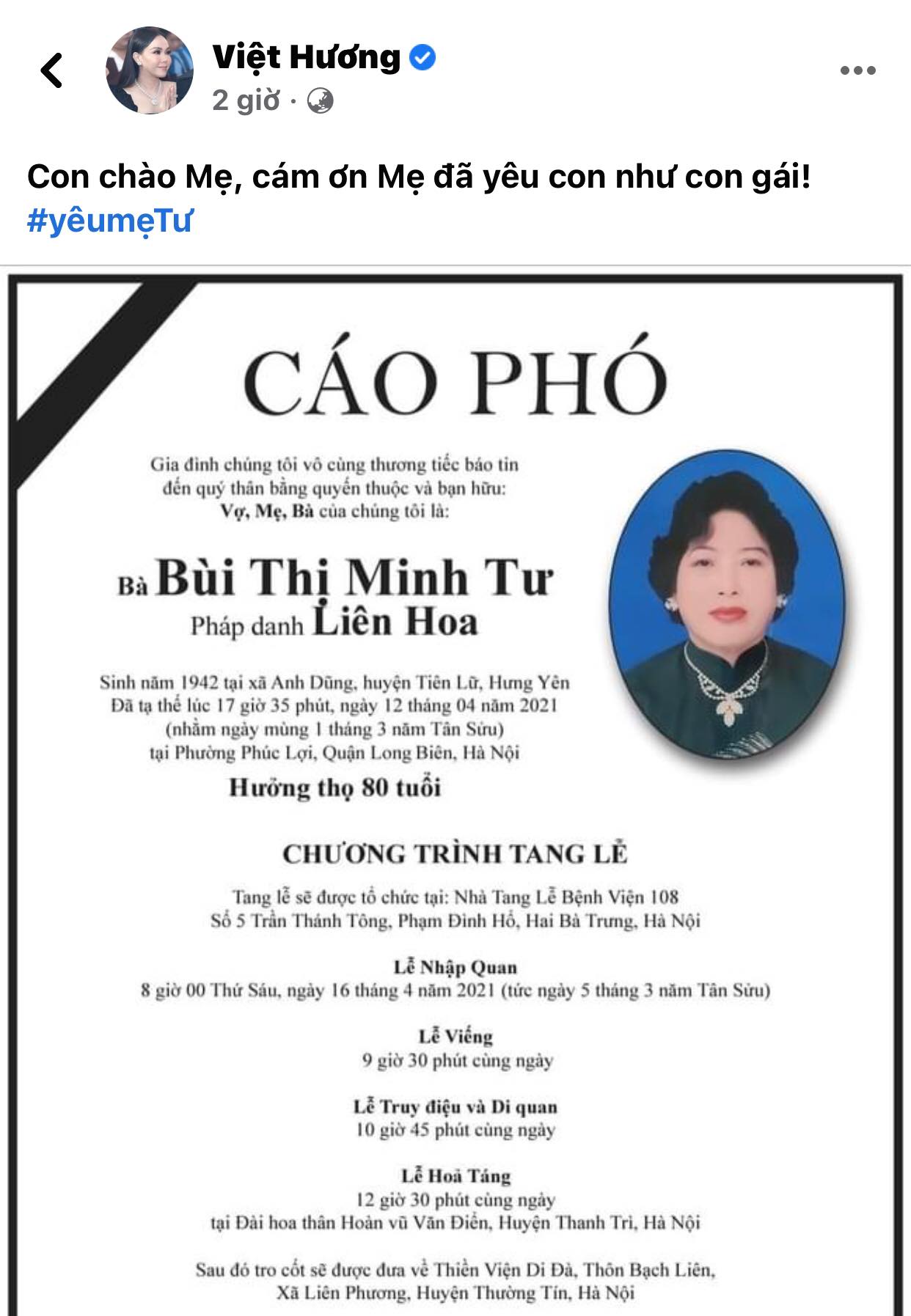 Viet-huong-rung-roi-chan-tay-dau-xot-bao-tang-su-phi-nhung-cung-cac-nghe-si-xot-xa-chi-buon-1