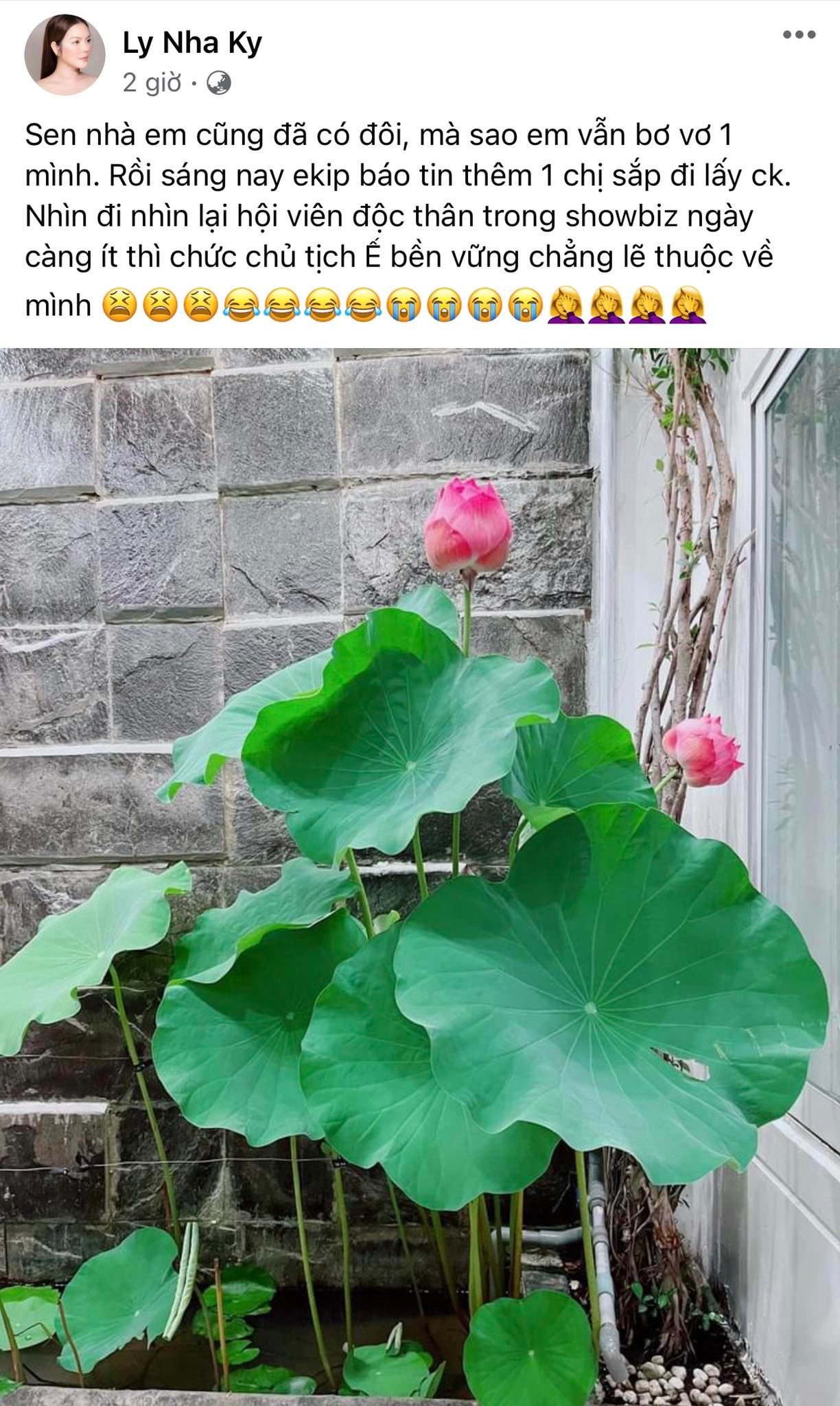 cdm-khong-ngung-ban-tan-truoc-tin-ly-nha-ky-tham-gia-hoi-vien-doc-than-lau-nam-trong-showbiz-viet