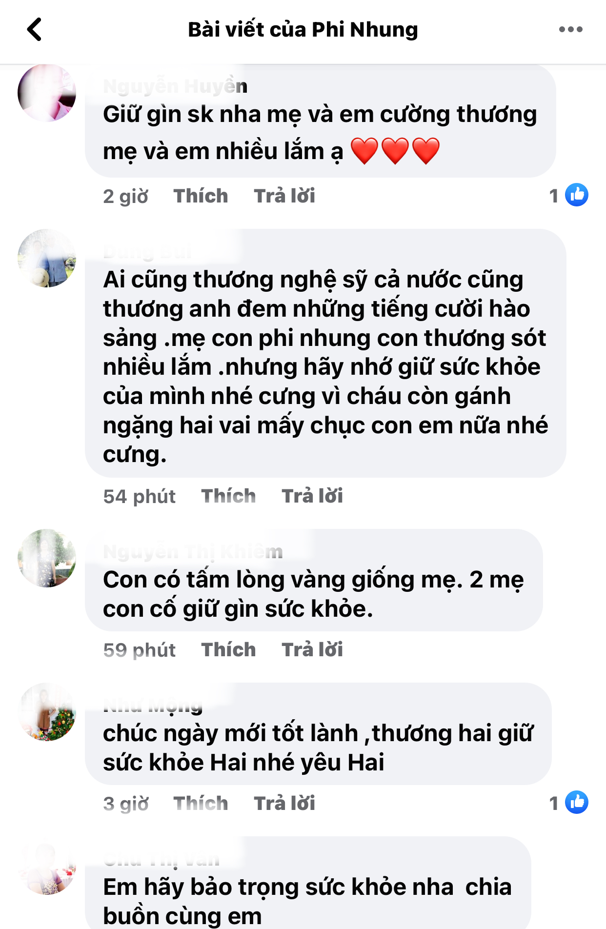 Phi-Nhung-Hoai-Linh-Chi-Tai-3