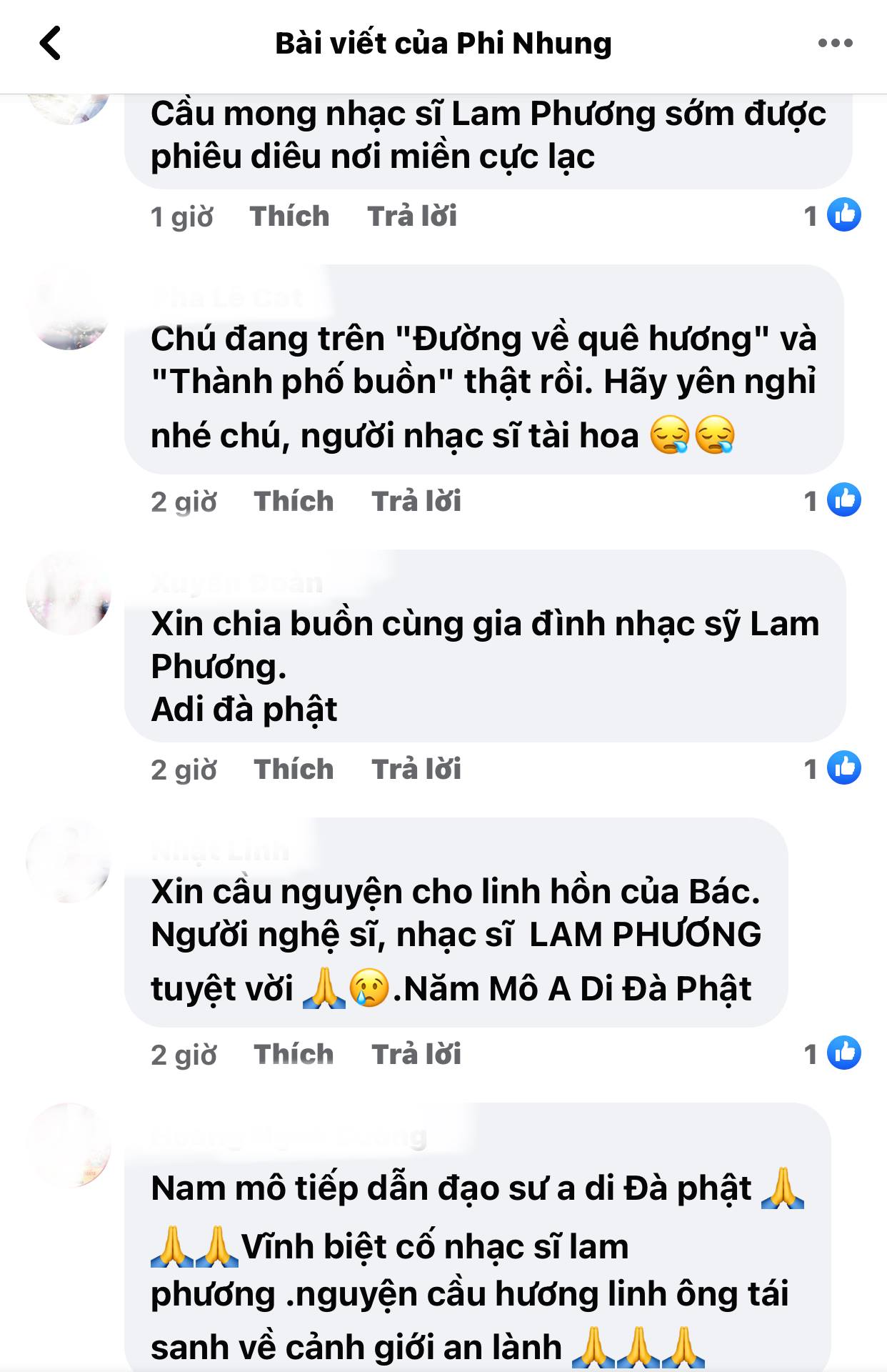 Phi-nhung-nhac-si-lam-phuong3