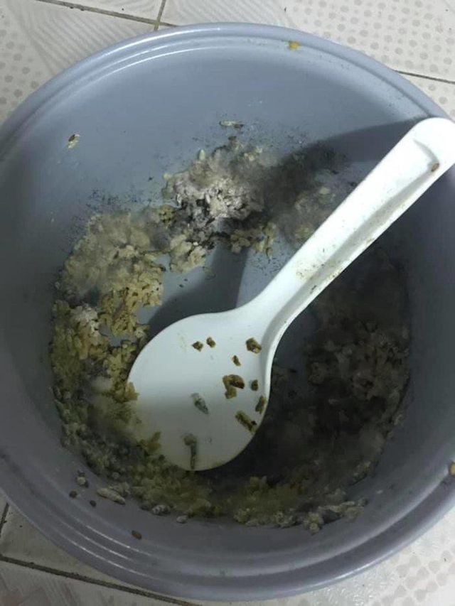 thoat-nhin-tuong-tham-thuc-vat-trong-hang-son-doong-hinh-anh-thuc-te-khien-dan-tinh-nga-ngua-kinh-hai-7