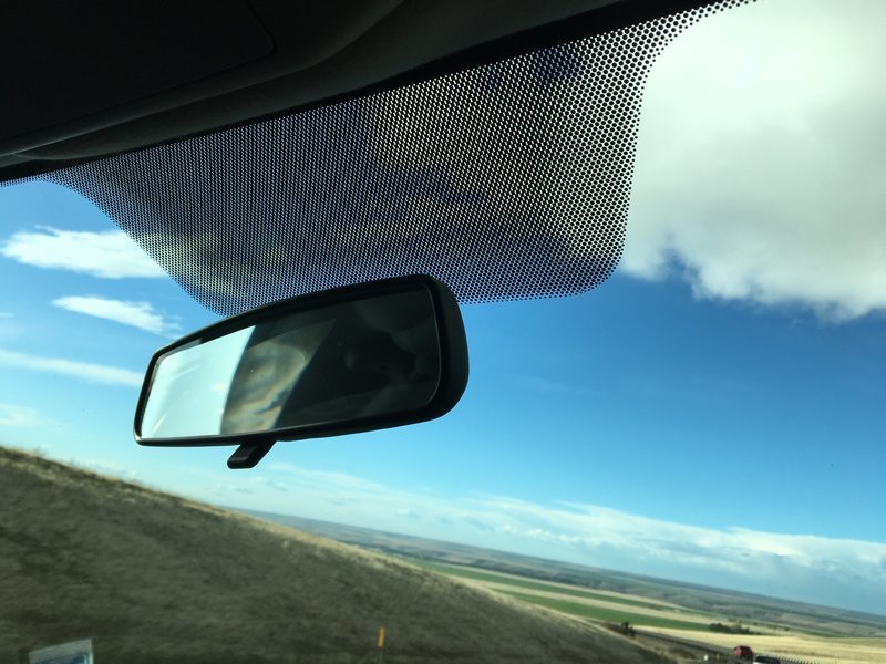 Những đốm đen li ti tr&ecirc;n k&iacute;nh l&aacute;i &ocirc; t&ocirc; c&oacute; t&aacute;c dụng g&igrave;?