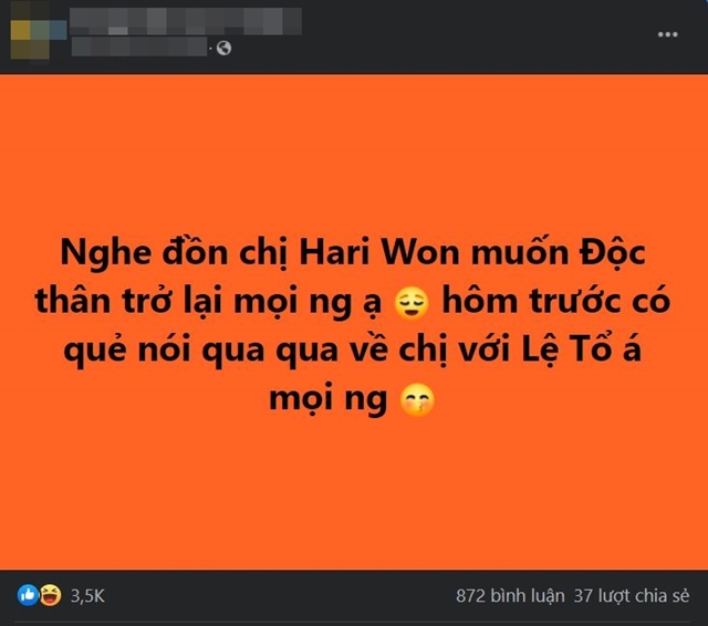 tran-thanh-hari-won-2