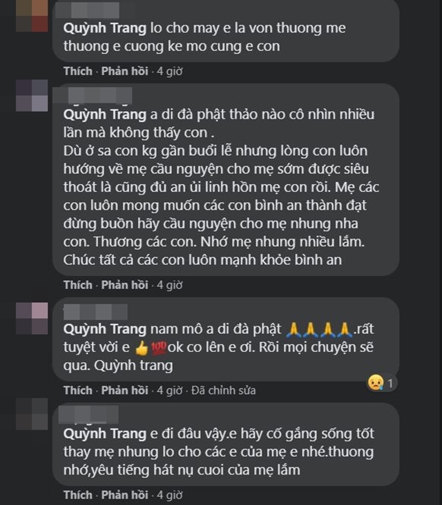 con-nuoi-phi-nhung-4