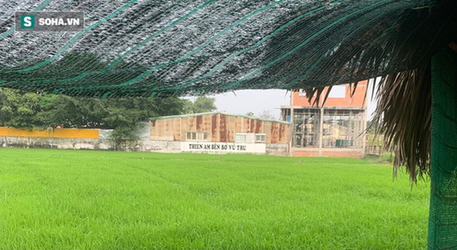 tinh-that-bong-lai-1