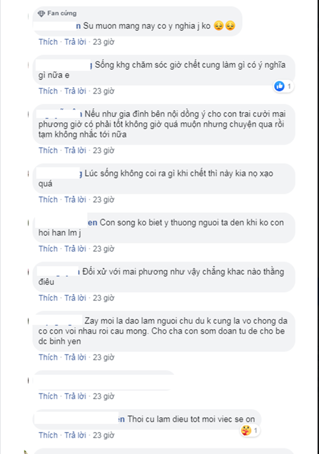 phung-ngoc-huy-mai-phuong-1