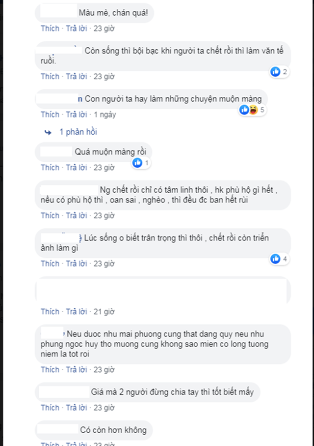 phung-ngoc-huy-mai-phuong-2