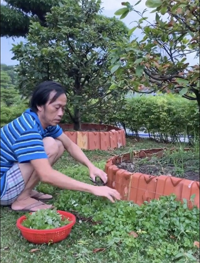 Tin hot ng&agrave;y 27/4: Ngoại h&igrave;nh tiều tụy của Ho&agrave;i Linh, Việt Hương 'nổi đi&ecirc;n' v&igrave; nghi chồng lăng nhăng