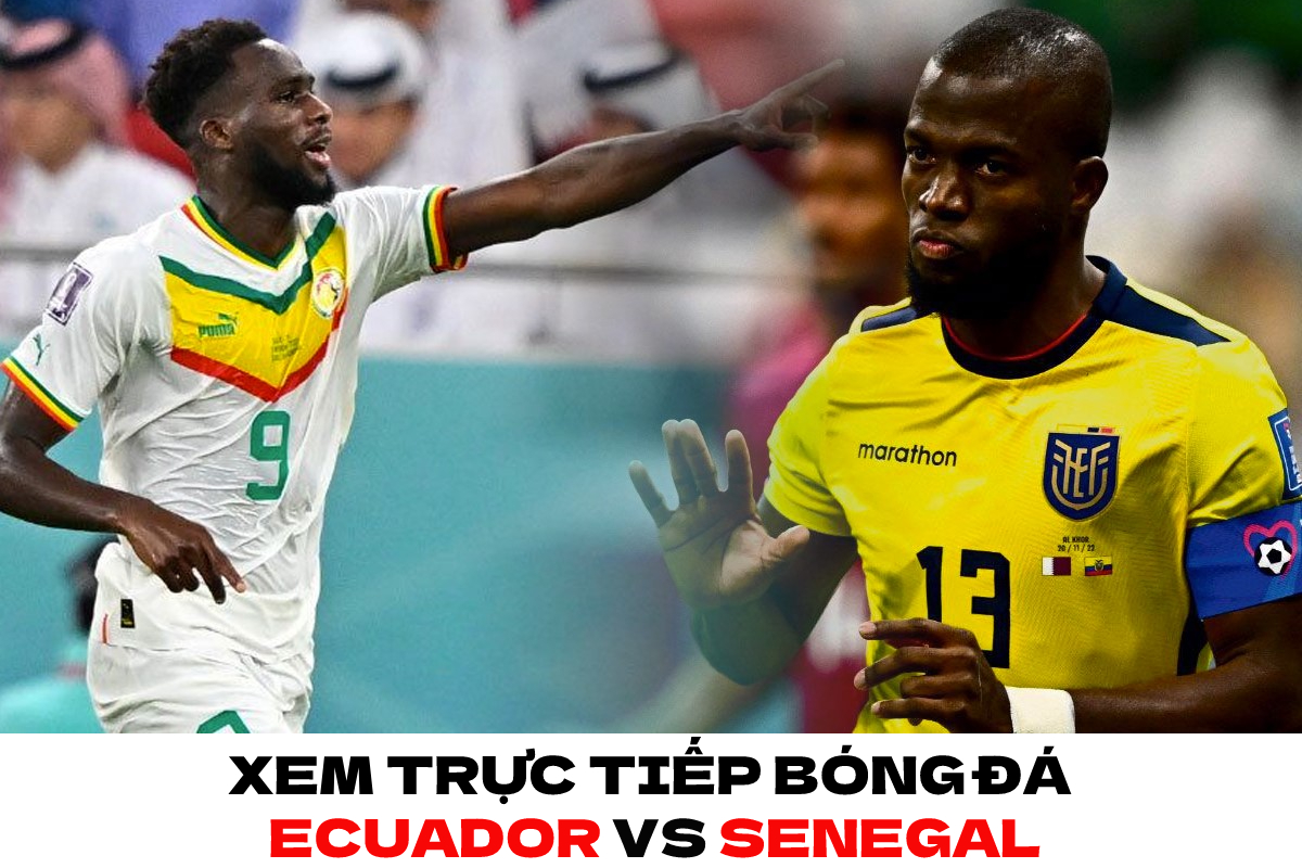 Xem trực tiếp bóng đá Ecuador vs Senegal ở đâu, kênh nào? Link xem