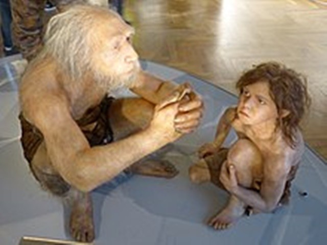 220px-nhm-neandertaler-modell-1-1702138667.jpg
