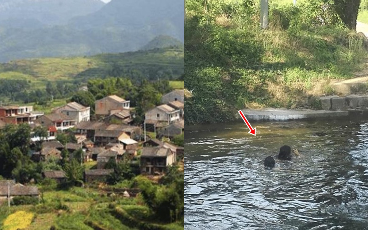 Người xưa có câu ‘mồ trước cửa, nước sau nhà’, sự thật đằng sau là gì mà được lưu truyền?