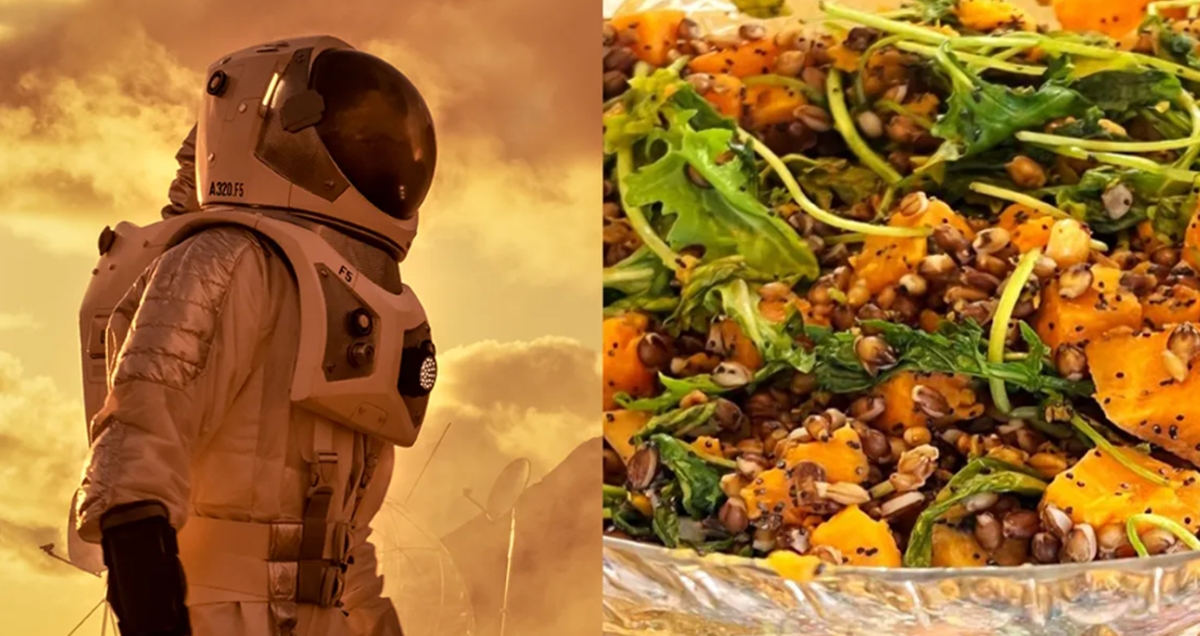 Hé lộ món ăn của phi hành gia trong tương lai, tưởng xa lạ nhưng ai ở trái đất cũng biết