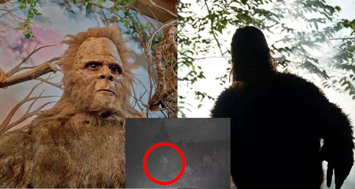 Quái vật Bigfoot hiện nguyên hình giữa màn đêm, ảnh cận cảnh khiến netizen thế giới sửng sốt?