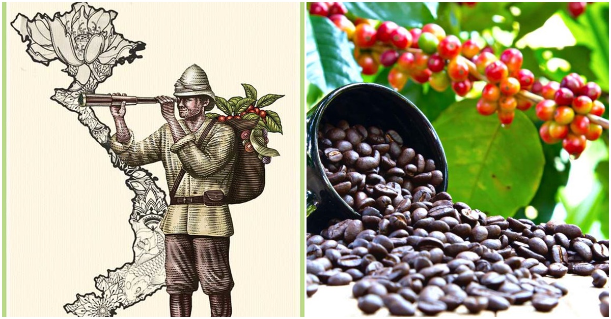 Ai là người mang cây cà phê đầu tiên về Việt Nam?