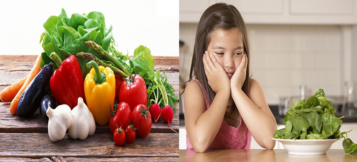 Lý do thực sự khiến những đứa trẻ không chịu ăn rau, liệu có liên quan tới bố mẹ?