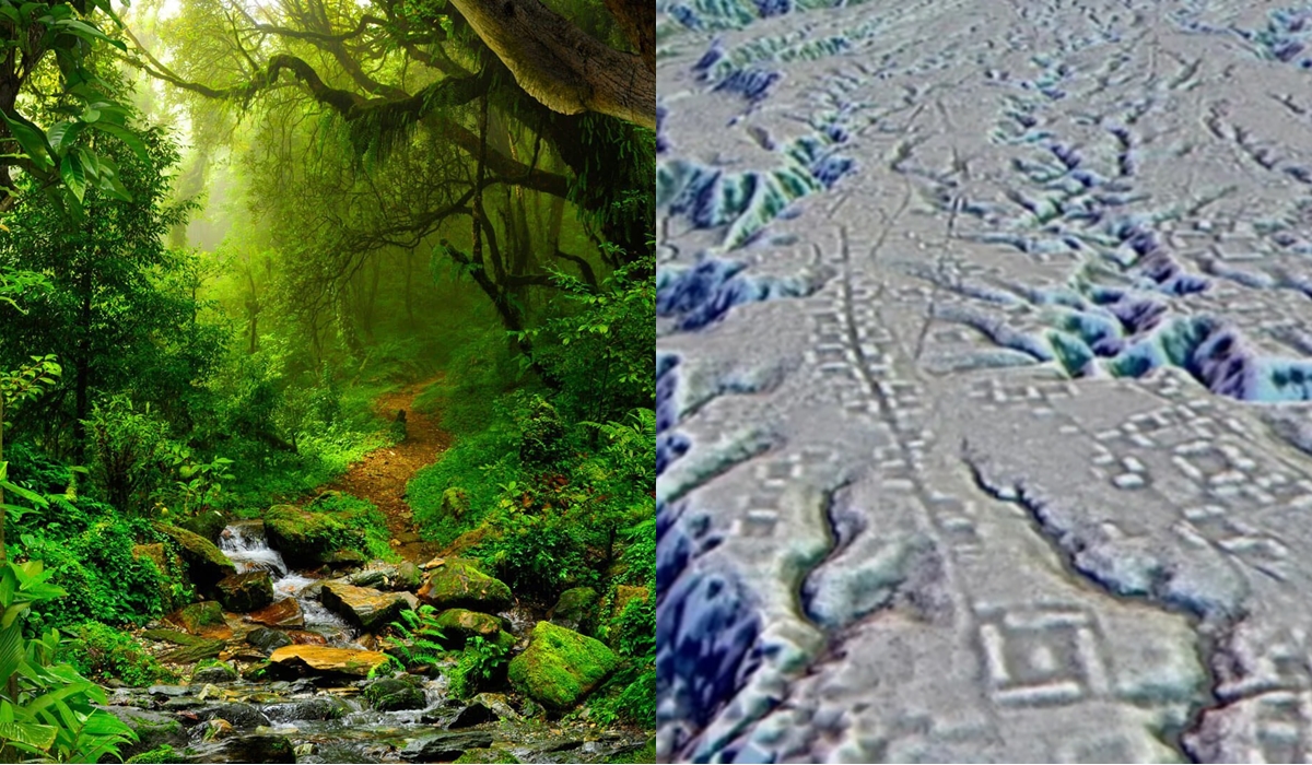 Chấn động: Phát hiện đô thị bí ẩn 2.500 năm tuổi trong rừng rậm Amazon, chuyên gia \'bó tay\' khi tìm lời giải