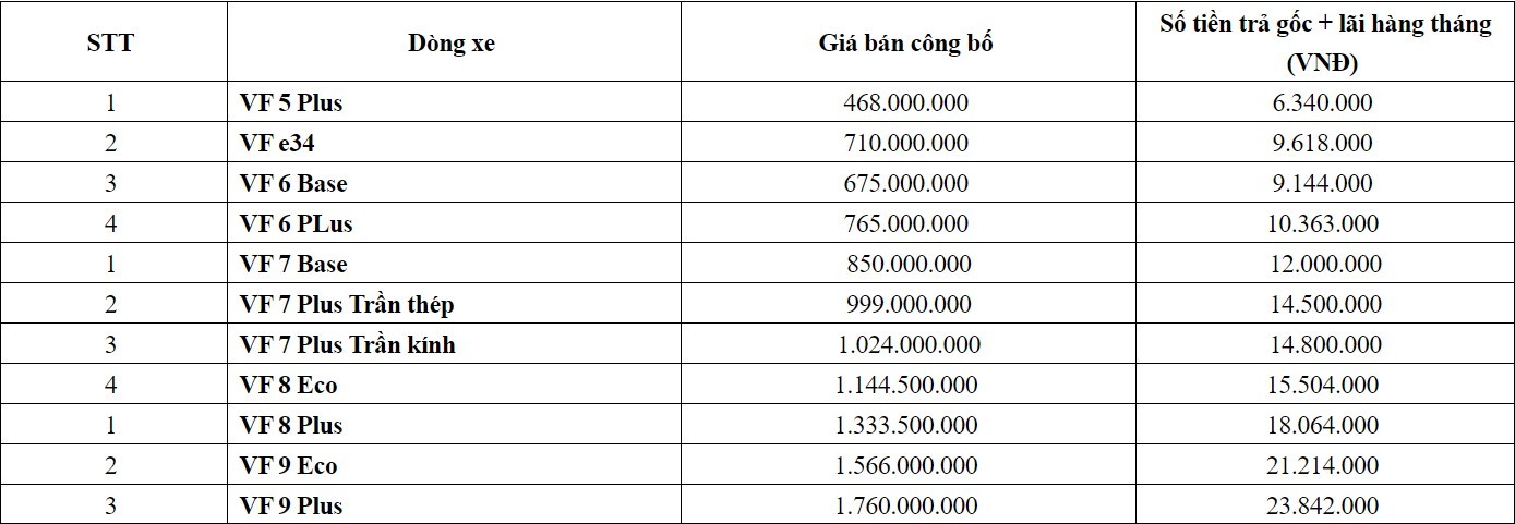 VinFast tung chính sách khủng, cơ hội vàng cho Việt mua xe điện mà không cần quá lo nghĩ về tiền ảnh 1