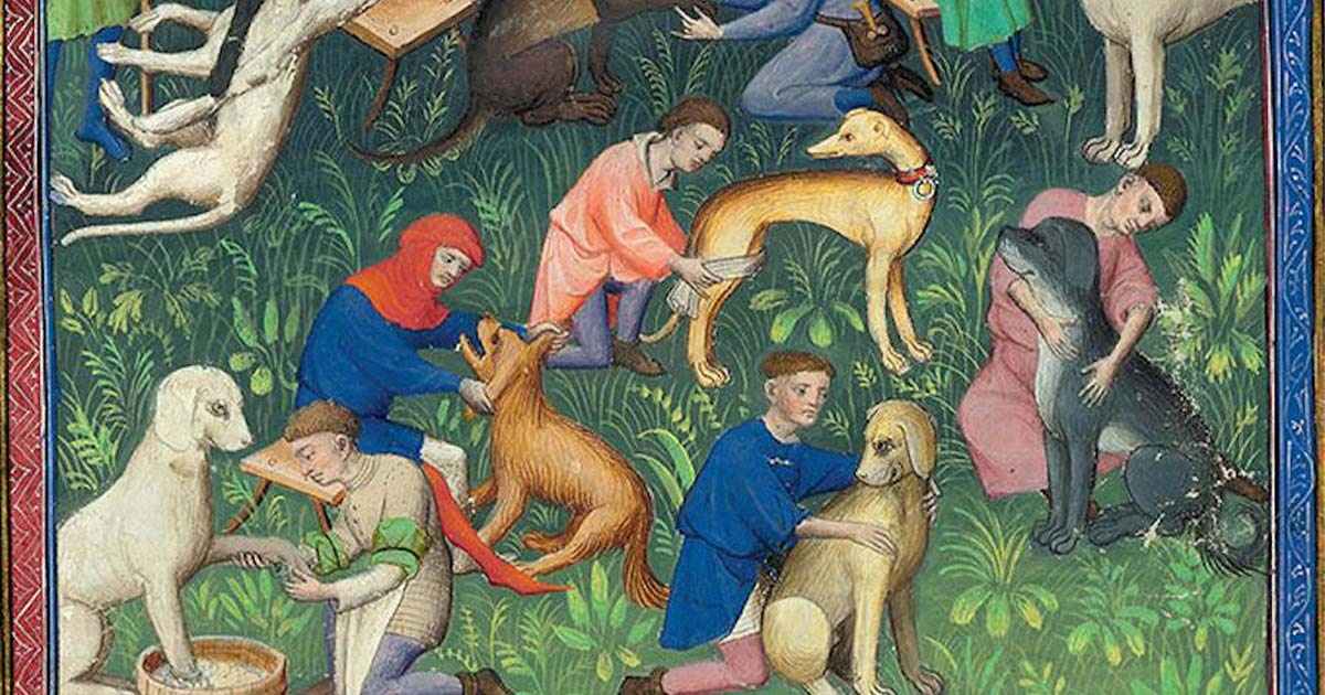 Những sự thật thú vị về việc nuôi chó làm thú cưng vào thời Trung cổ: Chó thể hiện đẳng cấp quý tộc