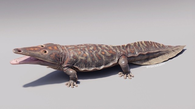 kwatisuchus-rosai-novataxa-2024-pinheiro-eltink-paes-neto-at-felipinheir-1706688093.jpg