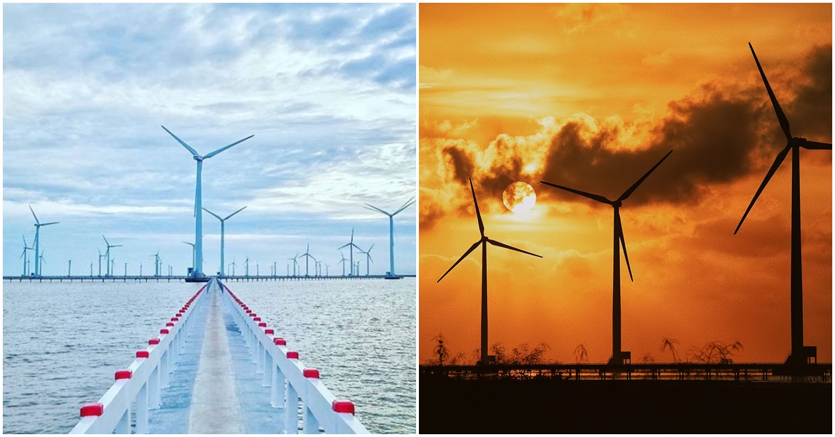 Cánh đồng điện gió duy nhất Việt Nam nằm trên biển, đẹp như trời Âu, trị giá hơn 5.000 tỷ đồng