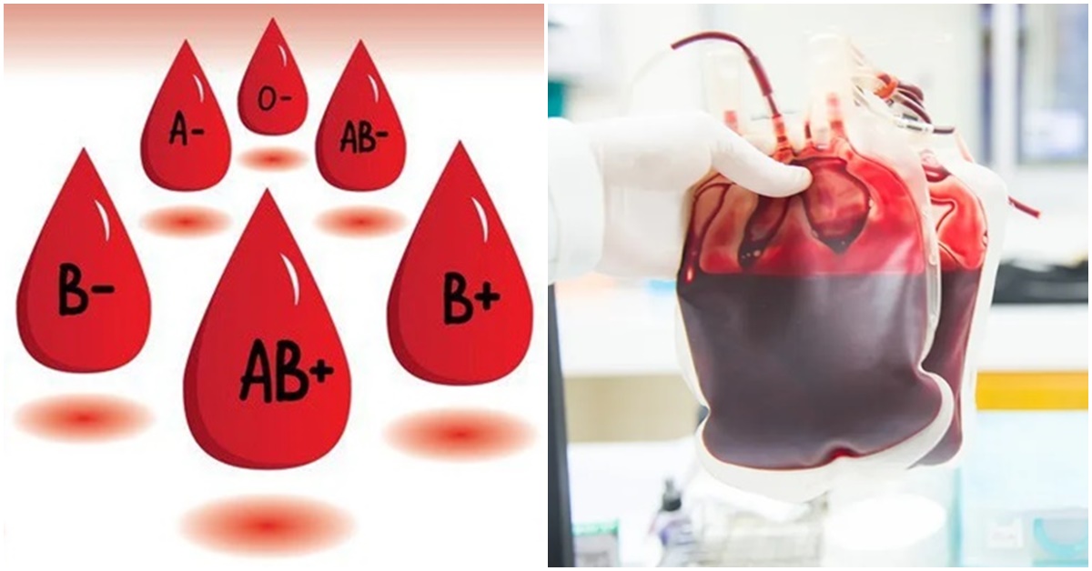 Tiết lộ nhóm máu hiếm nhất thế giới, chỉ 50 người trên thế giới sở hữu nhóm máu này