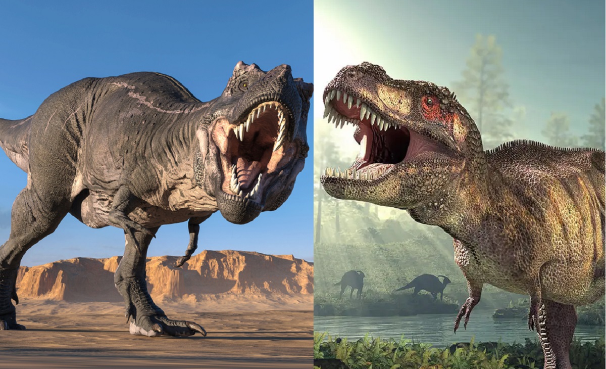Sự thật bất ngờ về cấu tạo chi trước ngắn ngủn của khủng long bạo chúa Tyrannosaurus