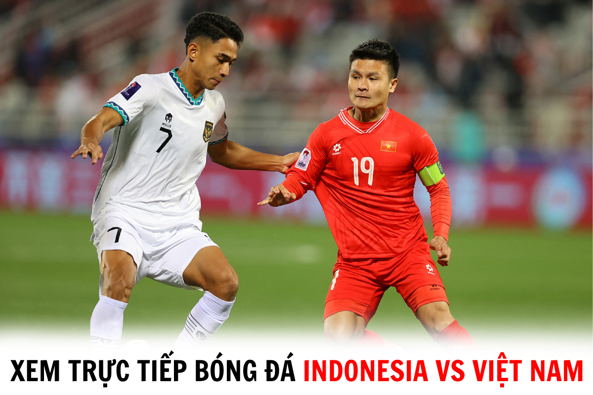 Xem Trực Tiếp Bóng đá Indonesia Vs Việt Nam ở đâu Kênh Nào Trực Tiếp Vòng Loại World Cup 2026