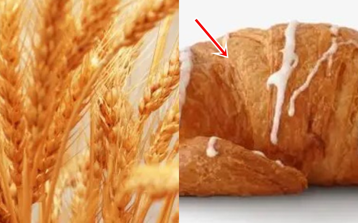 Trung Quốc đã trồng lúa mì hàng nghìn năm, vậy tại sao lại không phát minh ra bánh mì?