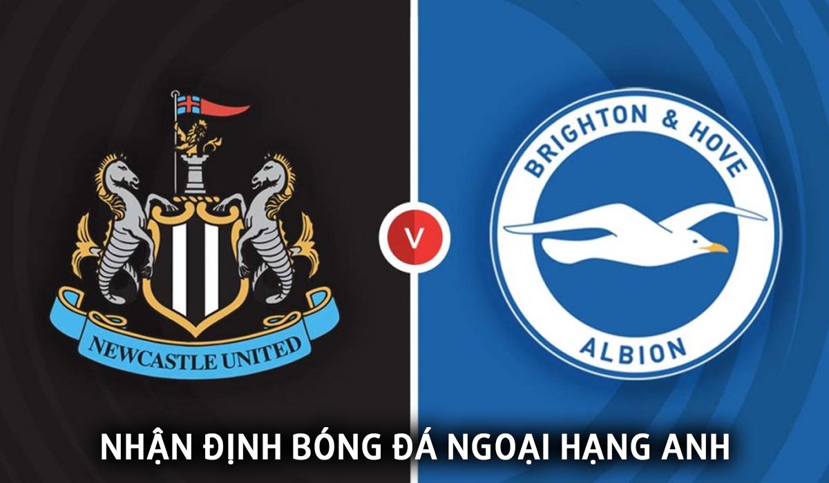 Nhận định bóng đá Newcastle vs Brighton - Vòng 37 Ngoại hạng Anh: MU hết hy vọng dự cúp châu Âu?