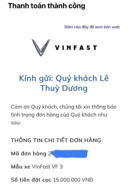 Mua xe chỉ từ 235 triệu đồng, người dùng ‘phát sốt’ với VinFast VF 3 ảnh 3