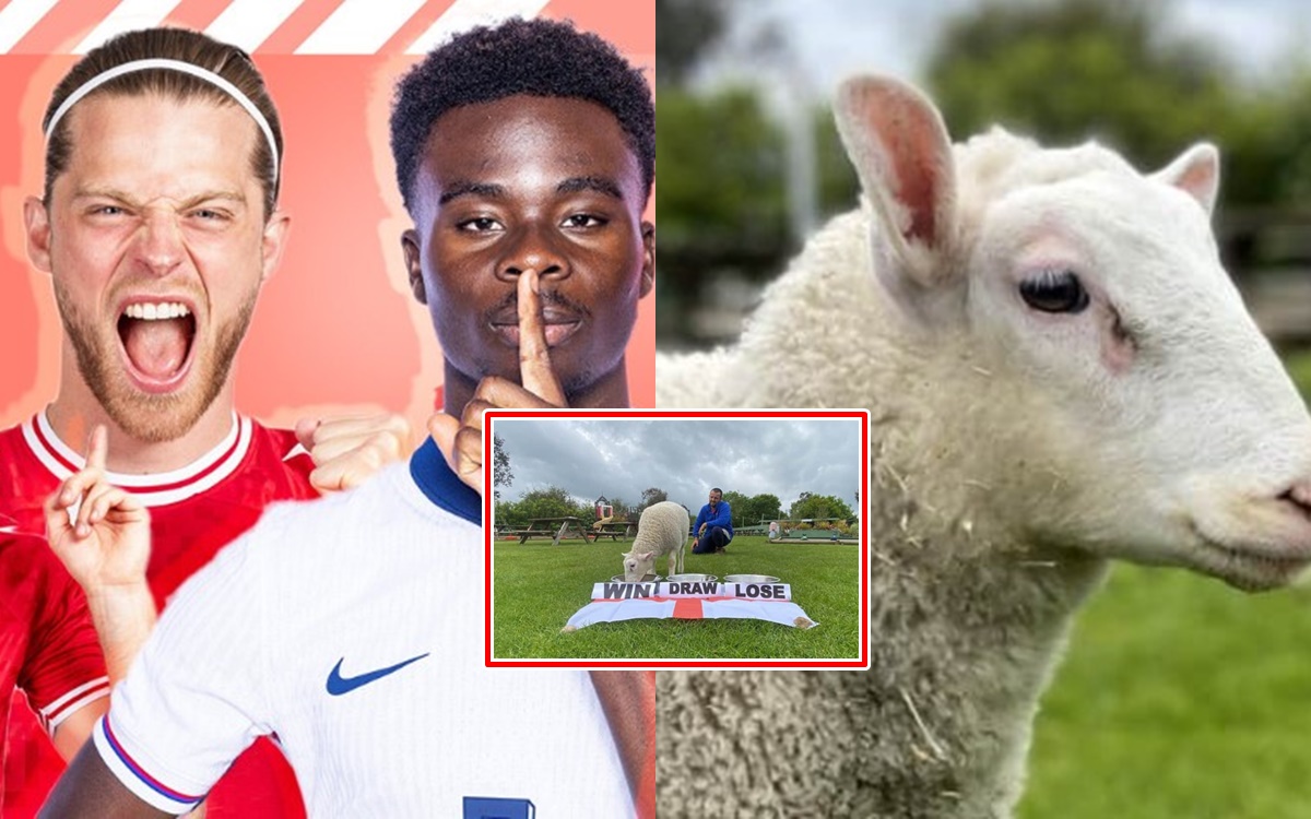 Euro 2024: ‘Cừu tiên tri’ dự đoán trận Anh - Đan Mạch, đặt tiếp niềm tin vào Tam Sư?