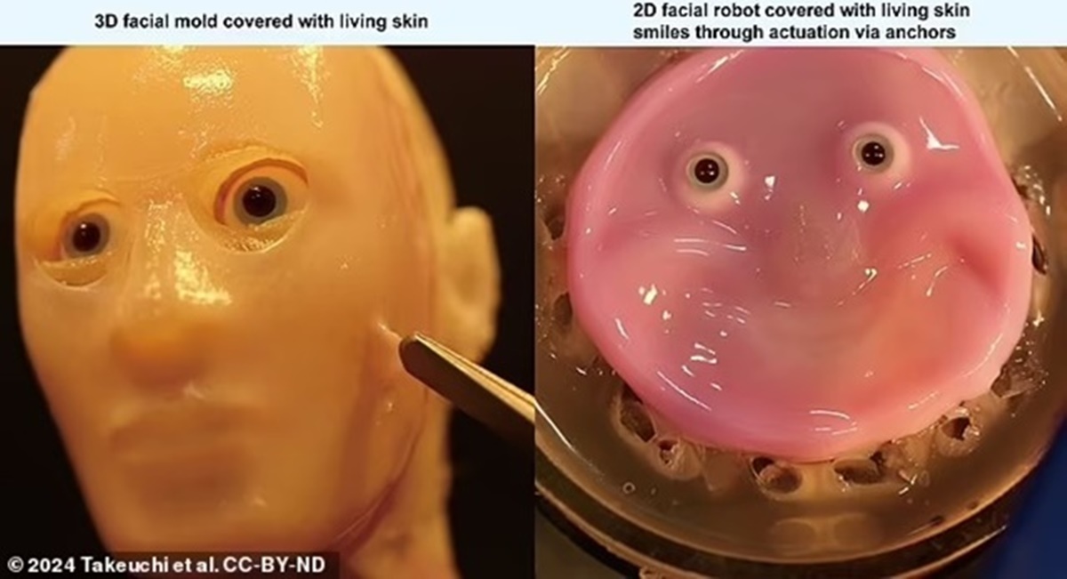 Rùng rợn: Các nhà nghiên cứu Nhật Bản tạo ra robot có khuôn mặt làm từ da người